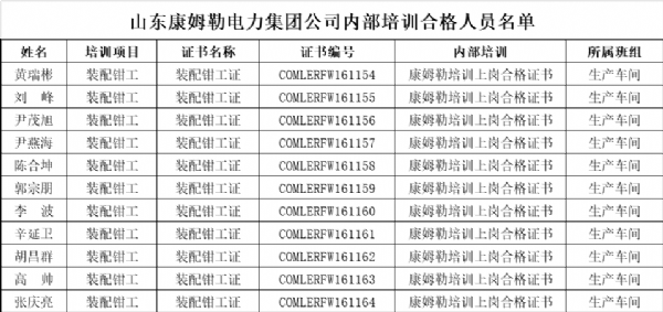 山東康姆勒電力集團公司內(nèi)部培訓合格人員名單